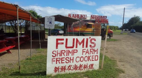 The Tiny Town In Hawaii That’s The Next Shrimp Capital Of The World