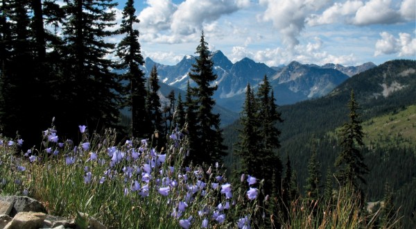 The Top 7 Sights To See In Washington’s Most Scenic Area