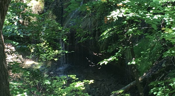 Most People Aren’t Aware Of This Charming Waterfall Hiding In Minnesota