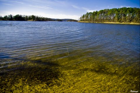 There's Something Intriguing You Don't Know About Arkansas's Clearest Lake