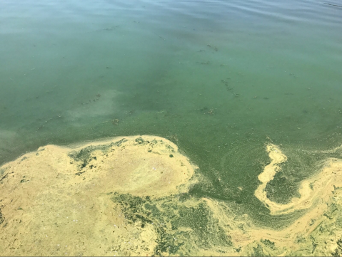 You May Not Want To Swim In This New Hampshire Lake Due To A Toxic Discovery