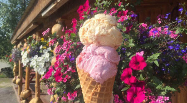 This Roadside Ice Cream Shop In Alaska Is One Of A Kind