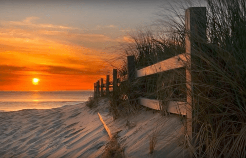 The Top Secret Beach In Virginia That Will Make Your Summer Complete