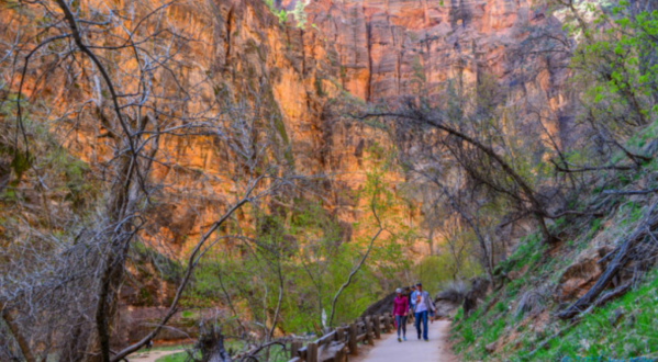 Here Are The 9 Best Hikes In Utah’s Zion National Park