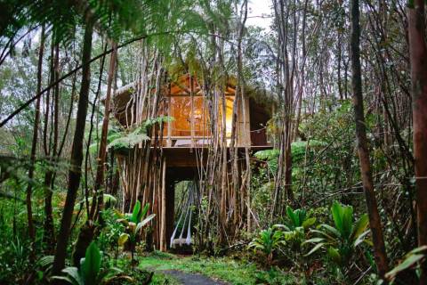 Sleep Underneath The Forest Canopy At This Epic Treehouse In Hawaii