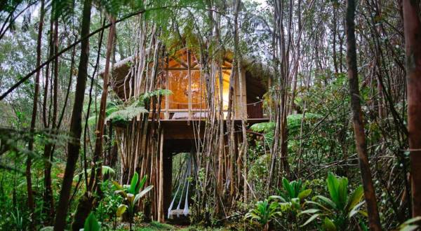 Sleep Underneath The Forest Canopy At This Epic Treehouse In Hawaii