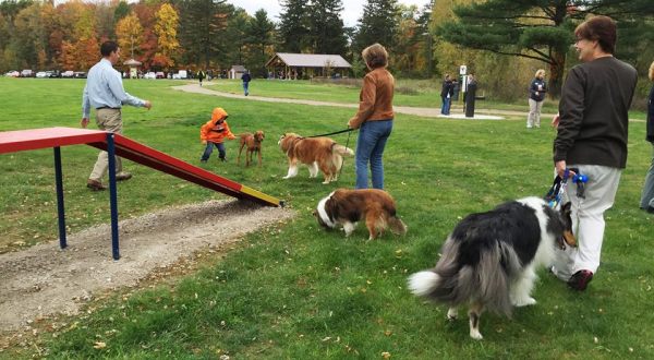 9 Dog-Friendly Places Near Cleveland You’ll Absolutely Love