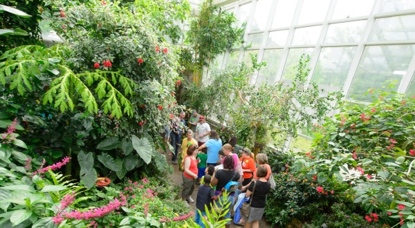 You’ll Want To Plan A Day Trip To North Carolina’s Magical Butterfly House