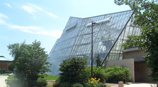 You’ll Want To Plan A Day Trip To Cleveland’s Magical Butterfly House
