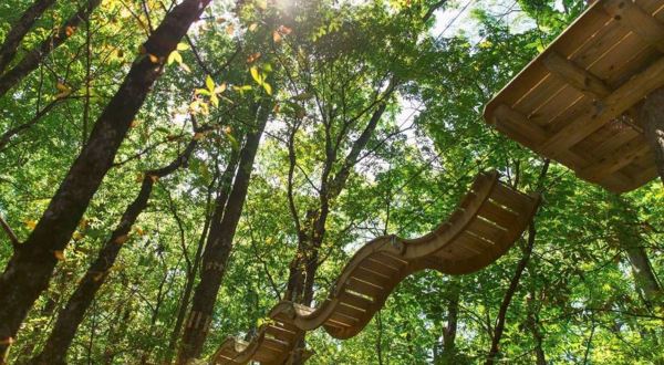 6 Amazing Treetop Adventures You Can Only Have In Indiana