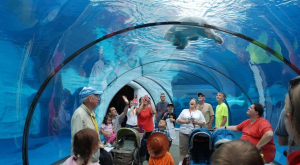 11 Kid-Friendly Destinations In Michigan That Are Just As Much Fun For Grown-Ups