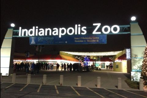 This Epic Zoo in Indiana Was Just Named One of the Best in the Country