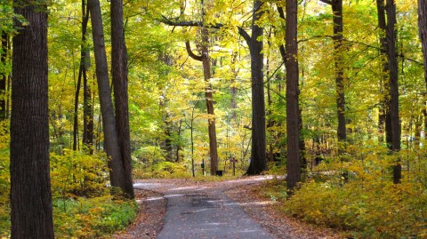 10 Epic Hiking Spots Around Detroit Are Completely Out Of This World