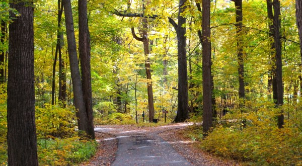 10 Epic Hiking Spots Around Detroit Are Completely Out Of This World