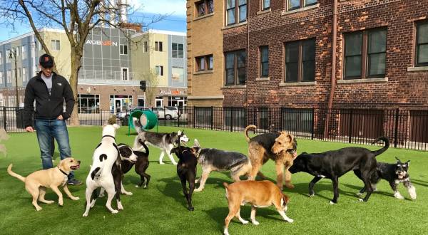 10 Dog-Friendly Places In Detroit You’ll Absolutely Love