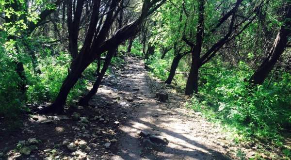 The Hiking Trail Hiding In Austin That Will Transport You To Another World