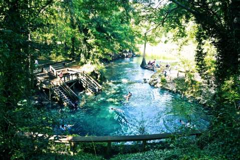 This Crystalline Swimming Hole Is Florida's Best Kept Secret