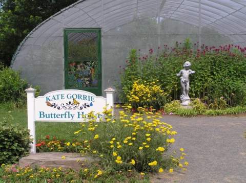 You’ll Want To Plan A Summer Day Trip To New Jersey’s Magical Butterfly House