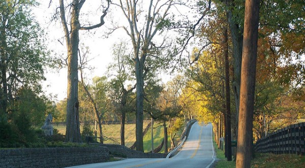 You Won’t Believe Everything You’ll Find Along This Classic Kentucky Road