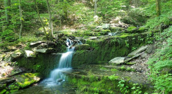 The Fairy Tale Hiking Trail In Pennsylvania You’ll Want To Try This Summer