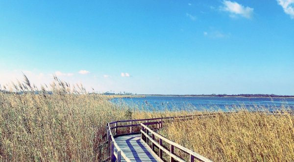 Virginia’s Hidden Boardwalk Hike Will Take You Miles Away From It All This Summer