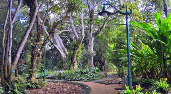 The Hawaii Garden That Will Make You Feel Like You Walked Into A Fairy Tale