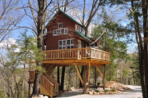 8 Amazing Treetop Adventures You Can Only Have In Texas