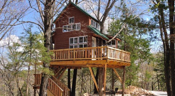 8 Amazing Treetop Adventures You Can Only Have In Texas