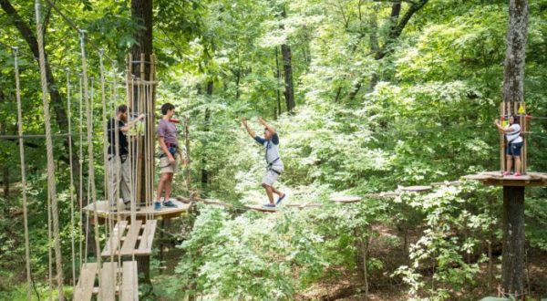 6 Amazing Treetop Adventures You Can Only Have In Virginia