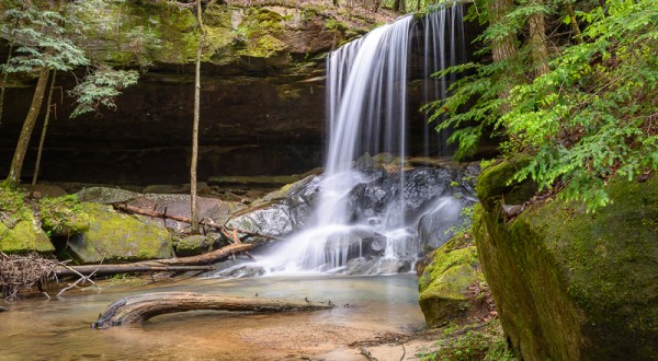 This Alabama Forest Is The Ultimate Waterfall Destination