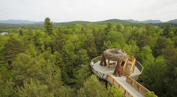 9 Amazing Treetop Adventures You Can Only Have In New York