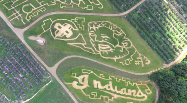 This Cleveland Themed Corn Maze Is Everything You Need For Fall