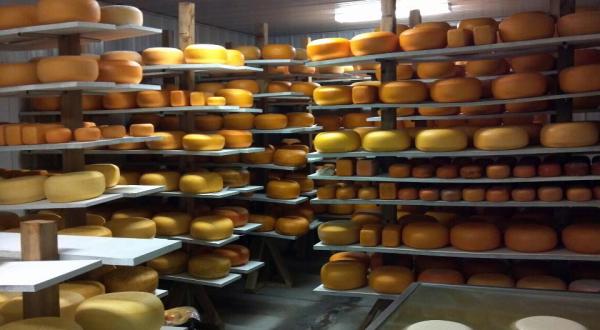 You’re Guaranteed To Love A Trip To This Epic Cheese Barn In Iowa
