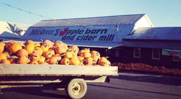 These 11 Charming Cider Mills In Ohio Will Have You Longing For Fall