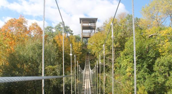 8 Amazing Treetop Adventures You Can Only Have In Minnesota