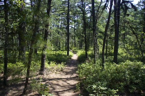 This Overnight Hike In New Jersey Is One Of The Coolest Things You'll Do This Summer