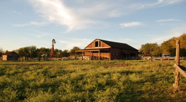 This Charming Little Farm Is The Best Kept Secret In Austin