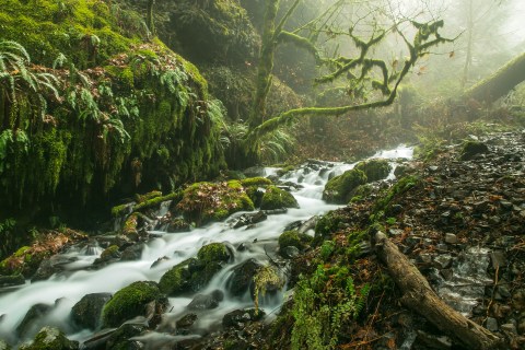 The Hike Near Portland That Takes You To Not One, But TWO Insanely Beautiful Waterfalls