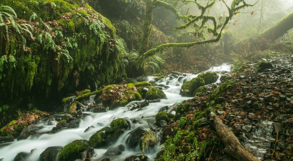 The Hike Near Portland That Takes You To Not One, But TWO Insanely Beautiful Waterfalls