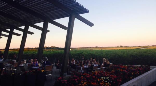 One Of The Best Wineries In America Is Right Here In Minnesota And You’ll Want To Visit