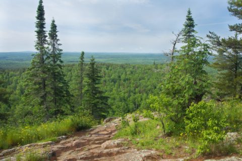 If There Are Only 5 Hikes You Ever Do In Minnesota, Make Them These