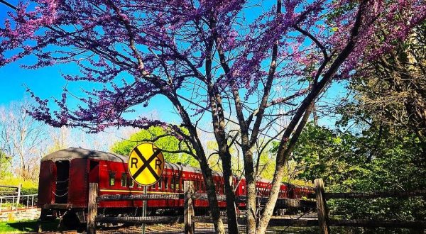 This Wine-Themed Train Around Philadelphia Will Give You The Ride Of A Lifetime