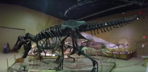 This Epic Museum In Wyoming Feels Like A Real-Life Jurassic Park