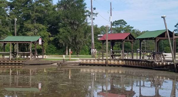 Hundreds Of Gators Could Escape From This Texas Sanctuary If Flood Waters Continue To Rise