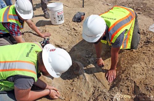 A Triceratops Skull Was Just Unearthed In Colorado And It’s Nothing Short Of Amazing