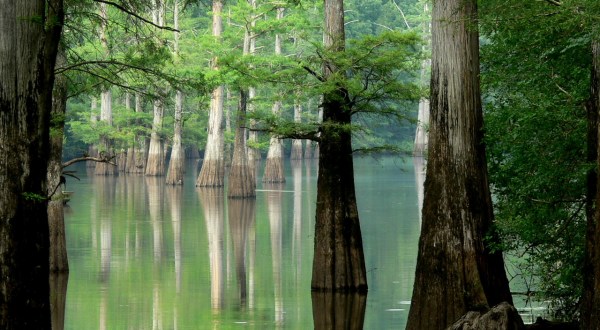 11 Places In Arkansas Where You Can’t Help But Feel At One With Nature