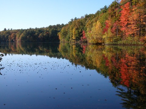 8 Amazing State Parks Around Boston That Will Blow You Away