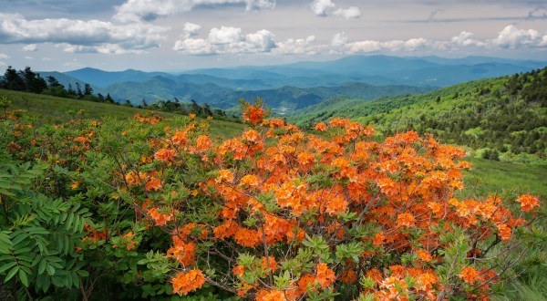This Overnight Hike In Tennessee Is One Of The Coolest Things You’ll Do This Summer