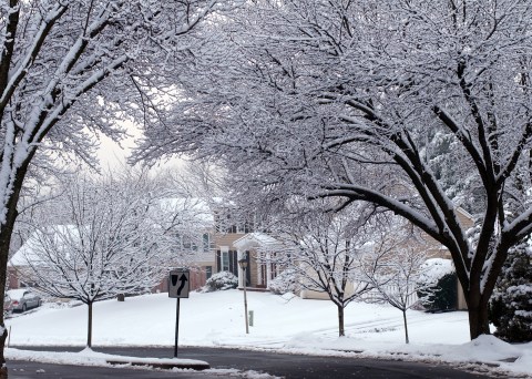 You May Not Like These Predictions About Virginia's Freezing Cold Upcoming Winter