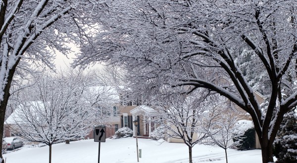 You May Not Like These Predictions About Virginia’s Freezing Cold Upcoming Winter